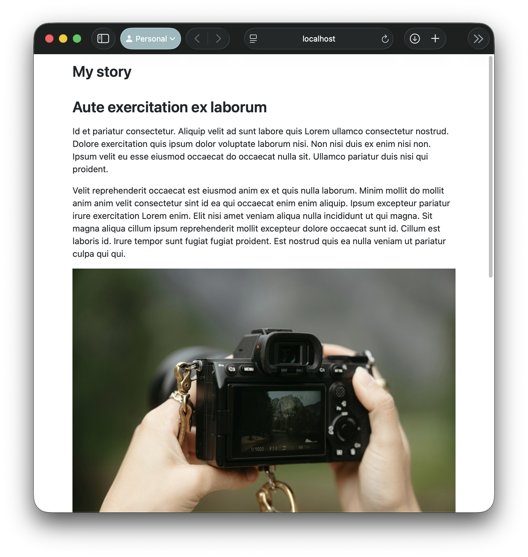 Screenshot of same article as output by Quarto